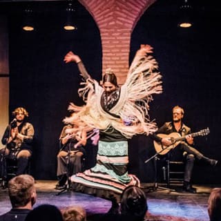 Entradas para el Museo del Baile Flamenco 5