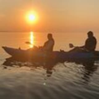 Sunset Dolphin Kayak Tours 4