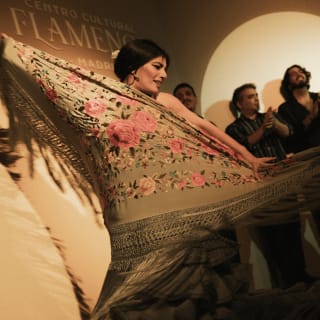 Afternoons of Tablao Flamenco 5