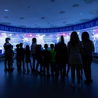 Manchester City Stadium Tour 1