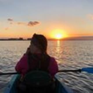 Sunset Dolphin Kayak Tours 6