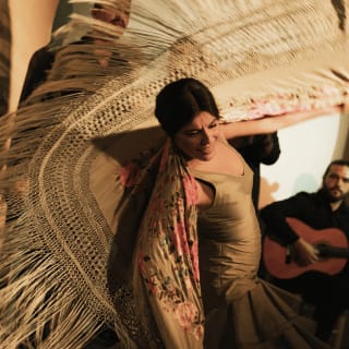 Afternoons of Tablao Flamenco 7
