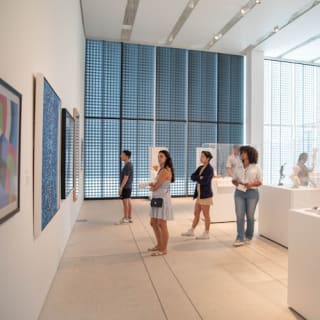Museo d'arte di Tampa: biglietto d'ingresso 2