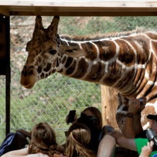 Out of Africa Wildlife Park 11