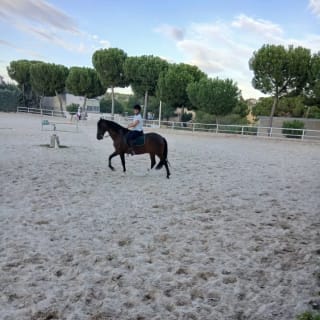 Rutas a caballo en la Escuela de Henry 1