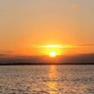 Sunset Dolphin Kayak Tours 9