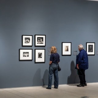 Museo d'arte di Tampa: biglietto d'ingresso 6
