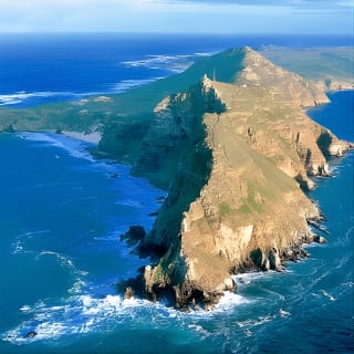 Cape Point and Boulder's Penguins Full Day Tour 6