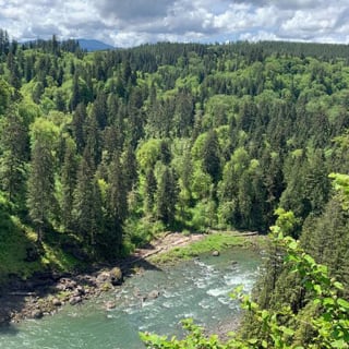 Waldwanderung zu den wunderschönen Twin und Snoqualmie Falls 3