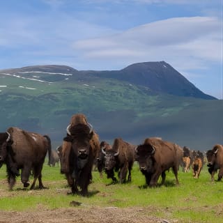 Wildlife Conservation Center with Lunch & Local Beer Sampling 2