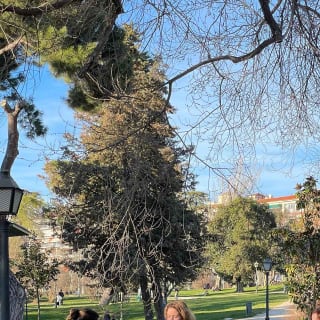 Madrid: Pilates por la mañana o al atardecer en el Templo de Debod 5