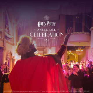 Harry Potter: El Gran Baile de Invierno 4