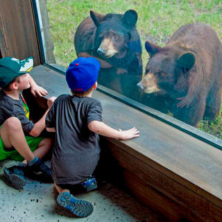Skip the Line: Zoo Miami Ticket 2