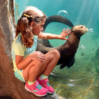 Skip the Line: Zoo Miami Ticket 4
