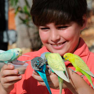 Skip the Line: Zoo Miami Ticket 6