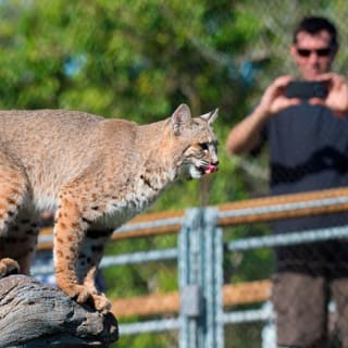Skip the Line: Zoo Miami Ticket 3