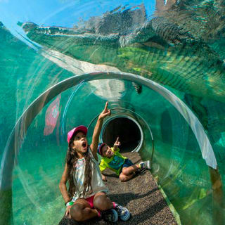 Skip the Line: Zoo Miami Ticket 1