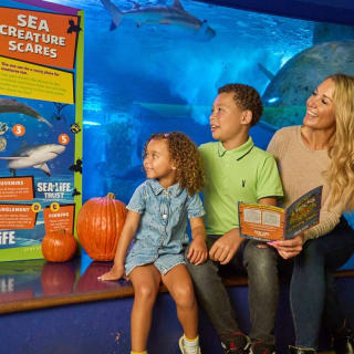 SEA LIFE London Aquarium 7