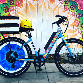 Electric Bike Art and Architecture Guided Tour in Jacksonville 4