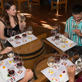 Wine Tour: Paarl, Franschhoek & Stellenbosch incl 3 wineries 17