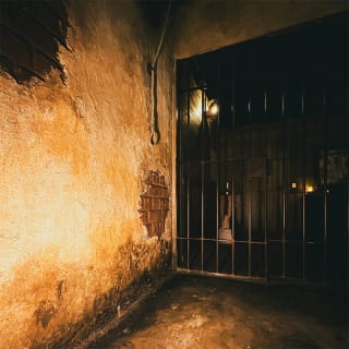 High Noon: It's a Wild West Jailbreak, Y'all! 5