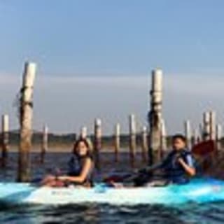 Sunset Dolphin Kayak Tours 15