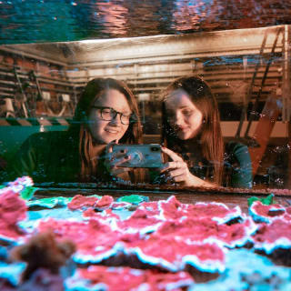 SEA LIFE London Aquarium 4