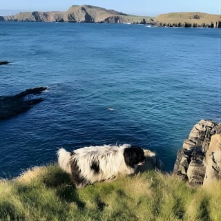 Placenames & Their Amazing Stories: includes a West Cork Picnic 1