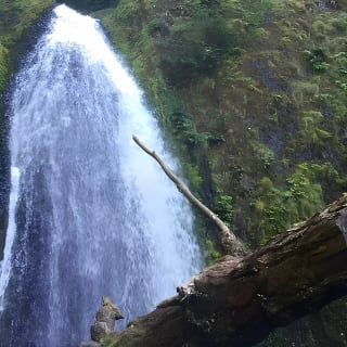 Explore Columbia River Gorge Half-Day Small-Group Tour  27