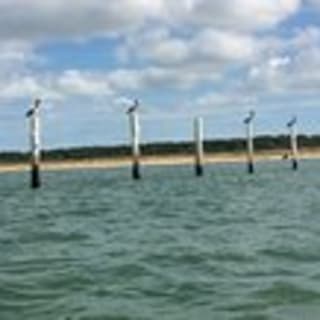 Sunset Dolphin Kayak Tours 16
