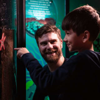 SEA LIFE London Aquarium 5