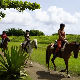 Horseback Riding Tour at Private Ranch 1