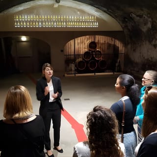 Excursion exclusive en Champagne au départ de Paris, comprenant 3 visites de maisons 4