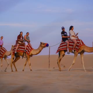 Premium Desert Safari: Camel Ride, Falconry, and BBQ Dinner 3