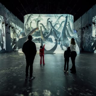 Combiticket Fabrique des Lumières: Klimt & Prehistoric Planet 2