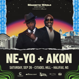 Magnetic World Music Festival 4