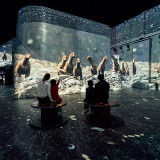 Combiticket Fabrique des Lumières: Klimt & Prehistoric Planet 5