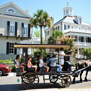 Daytime Horse-Drawn Carriage Sightseeing Tour of Historic Charleston 4