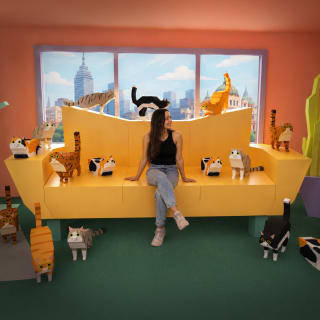 Museo del gatto 3