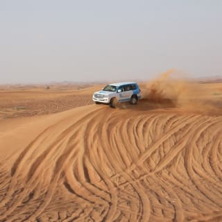 Premium Desert Safari: Camel Ride, Falconry, and BBQ Dinner 7
