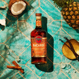 The Caribbean Flavour Rooms by BACARDÍ 5