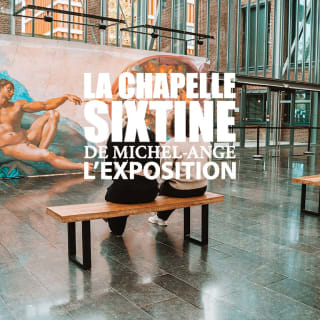 La Chapelle Sixtine de Michel-Ange : L'exposition 2