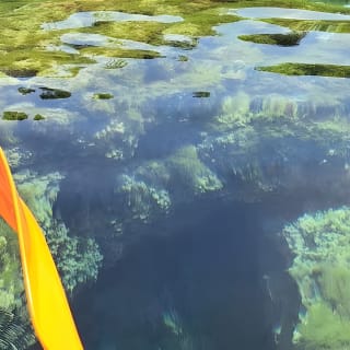 Kayaking, snorkeling and homemade pizzas. 3