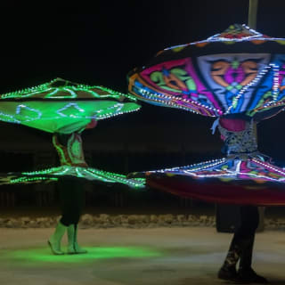 Premium Desert Safari: Camel Ride, Falconry, and BBQ Dinner 8