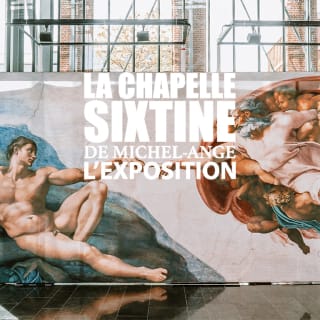 La Chapelle Sixtine de Michel-Ange : L'exposition 3
