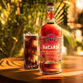 The Caribbean Flavour Rooms by BACARDÍ 4