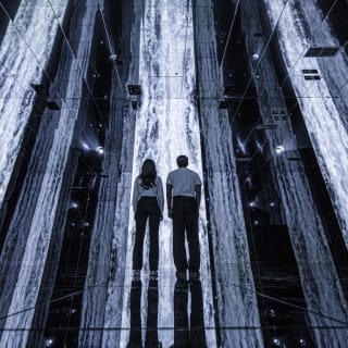 ARTE MUSEUM: Un'Esposizione d'Arte Multimediale Immersiva 9