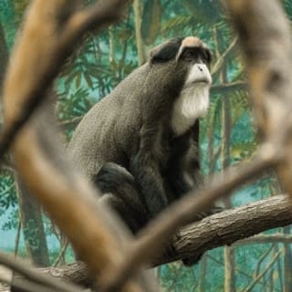Franklin Park Zoo: Entry Ticket 29