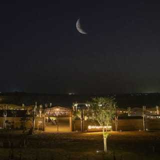 Premium Desert Safari: Camel Ride, Falconry, and BBQ Dinner 9