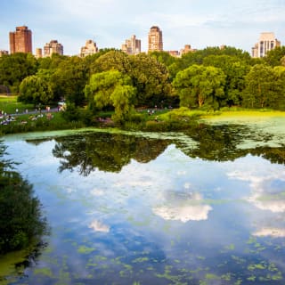 The Amazing Central Park Scavenger Hunt 1